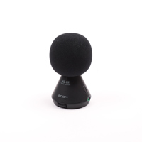 Zoom H3-VR 360 Degree Virtual  Picture