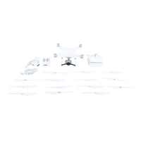 DJI Phantom 4 Pro+ Quadcopter  Picture