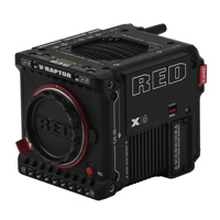 RED Digital Cinema V-RAPTOR (X Picture