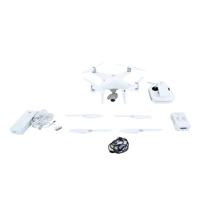 DJI Phantom 4 Pro V2.0 Quadcop Picture