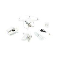 DJI Phantom 4 Pro V2.0 Quadcop Picture