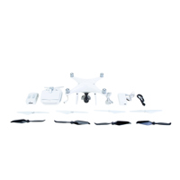 DJI Phantom 4 Pro+ V2.0 Quadco Picture