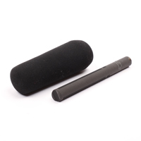 Sennheiser MKH 8060 Short Shot Picture