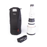 Canon RF 800mm f/5.6 L IS USM  Picture