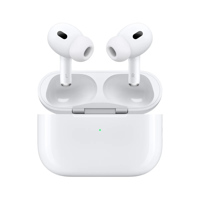 Apple AirPods Pro with MagSafe Picture