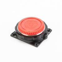 Red Digital Cinema DSMC AL Can Picture