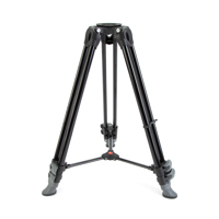 Manfrotto Telescopic Twin Leg  Picture