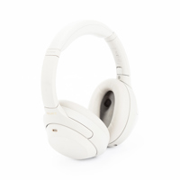 Sony WH-1000XM4 Over the Ear N Picture