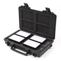 Aputure MC RGBWW Mini LED 4-Li Picture