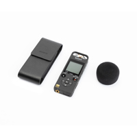 Sony High-Resolution Portable  Picture