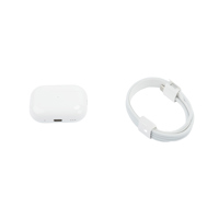 Apple AirPods Pro with MagSafe Picture