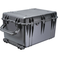 Pelican 1660 Watertight Hard C Picture