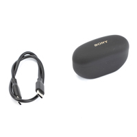 Sony Sony WF1000XM5 True Wirel Picture