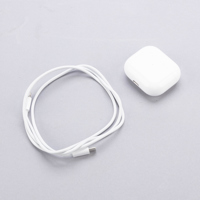 Apple AirPods with Lightning C Picture