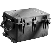 Pelican 1660 Watertight Hard C Picture