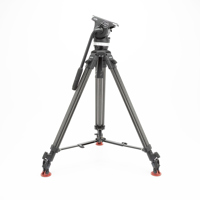 Sachtler 1011 System Ace L MS Picture