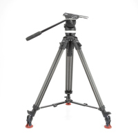 Sachtler 1011 System Ace L MS Picture