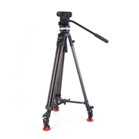 Sachtler 1011 System Ace L MS  Picture