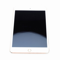 Apple iPad Mini 4 Wi-Fi + Cell Picture