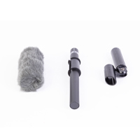 Sony ECM-VG1 Electret Condense Picture