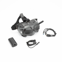 DJI FPV Goggles V2 Picture