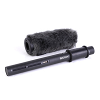 Sony ECM-VG1 Electret Condense Picture