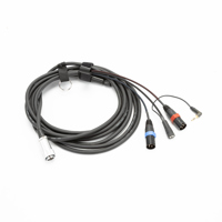 Remote Audio 20' ENG Breakaway Picture