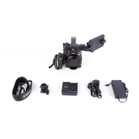 Canon EOS C300 Mark III Digita Picture