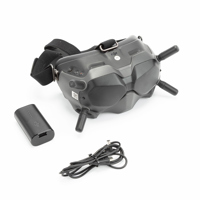 DJI FPV Goggles V2 Picture