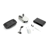 DJI Mavic Mini Picture