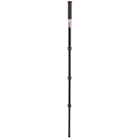 3 Legged Thing Trent 2.0 4-Sec Picture