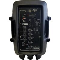 Audio 2000s AWP6407 Dual-Chann Picture