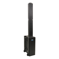 Anchor Audio Beacon 3 Pro Port Picture