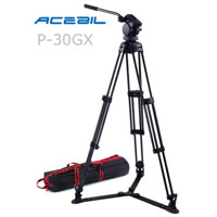 Acebil P-30GX Professional 2-S Picture