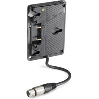 Anton Bauer QRC-VESA Gold Moun Picture