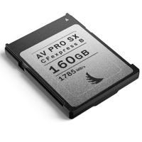 Angelbird AV PRO SX 160GB CFex Picture