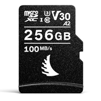 Angelbird AV PRO 256GB microSD Picture