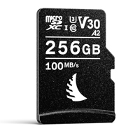 Angelbird AV PRO 256GB microSD Picture