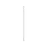 Apple Pencil Pro for iPad Pro  Picture