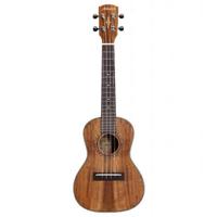 Alvarez Artist AU90C Concert A Picture