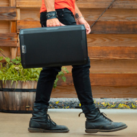 Alto Professional TrueSonic 4  Picture