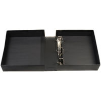Archival Methods RingFolio 2.5 Picture