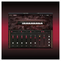 AIR Music Tech Solina Polyphon Picture