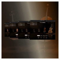 AIR Music Tech Studio Strings  Picture