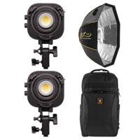 amaran Halo 100x 100W Bi-Color Picture
