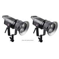 Aputure Light Storm LS C120d I Picture