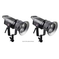 Aputure Light Storm LS C120d II Daylight LED 2-Light Kit, V-Mount Plate