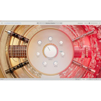 Arturia Augmented YANGTZE Virt Picture