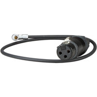 Ambient Recording 15.7" 3-Pin  Picture