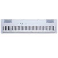Artesia PA-88H 88-Key Weighted Picture